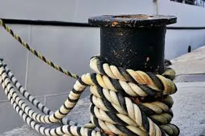 Illustration spring - Image 3