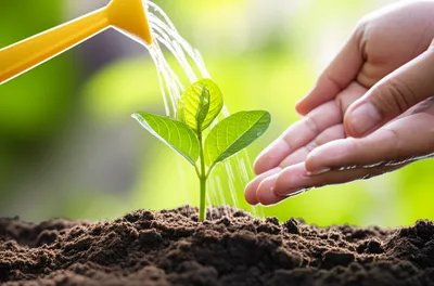 Illustration reinforce - Image 1