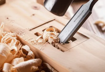 Illustration mortises - Image 1