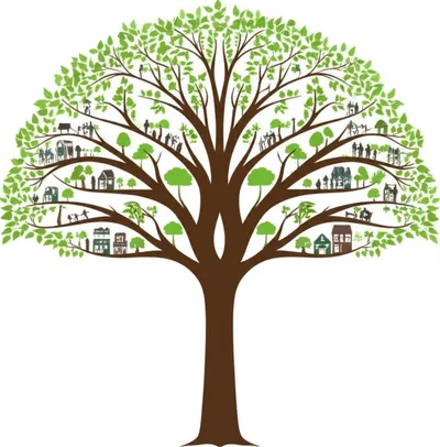 Illustration stem - Image 1