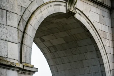 Illustration springers - Image 1