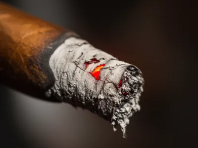 Illustration ash - Image 1