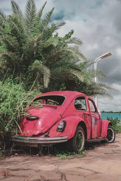 Illustration decaying - Image 2