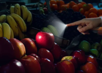 Illustration referent