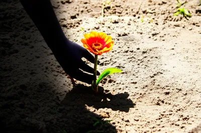 Illustration stolen - Image 1