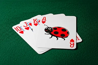 Illustration bugs - Image 1