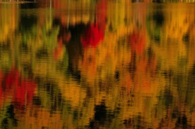 Illustration reflection - Image 1