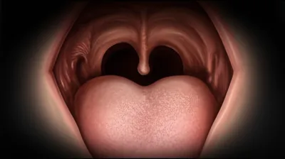 Illustration narrower - Image 1