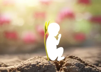 Illustration reincarnation - Image 1