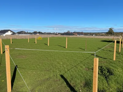 Illustration section - Image 1