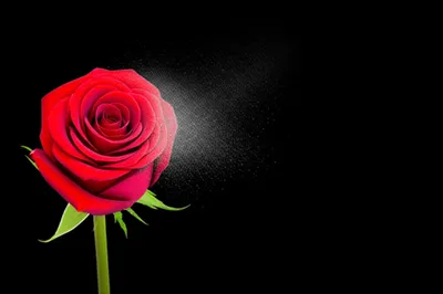 Illustration ashen - Image 1