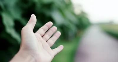 Illustration approximating - Image 1