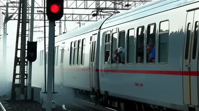 Illustration halted - Image 1