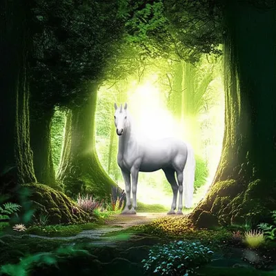 Illustration unicorn - Image 1