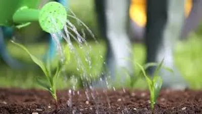 Illustration maintain - Image 2