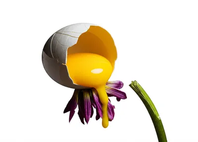 Illustration cracked - Image 1