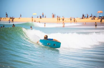 Illustration lids - Image 1