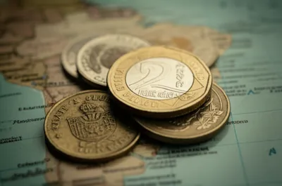 Illustration escudos - Image 1