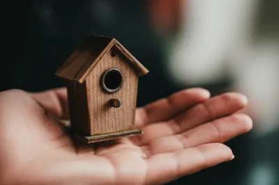 Illustration cabin - Image 1