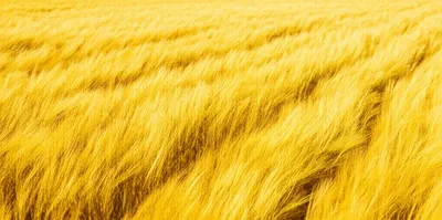 Illustration rippling - Image 1