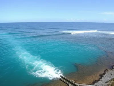 Illustration exonerated - Image 1