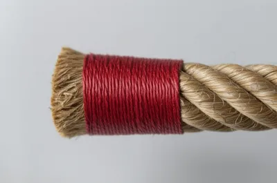 Illustration parcelled - Image 1