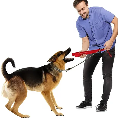 Illustration provocations