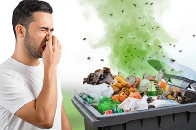 Illustration whiffs - Image 1