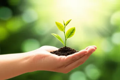 Illustration succeed - Image 1