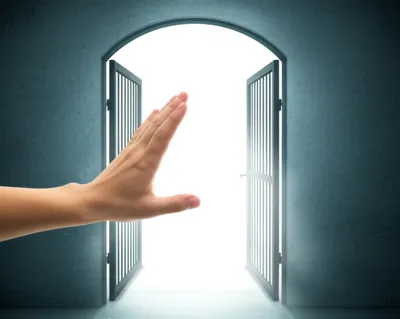 Illustration permission - Image 1