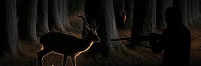 Illustration poachers