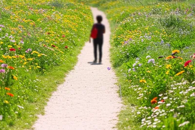 Illustration strolling - Image 1