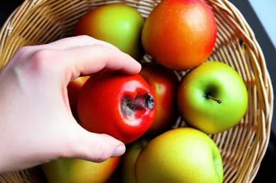 Illustration mistakes - Image 1