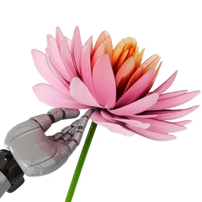 Hình ảnh minh họa humanized - Ảnh 1