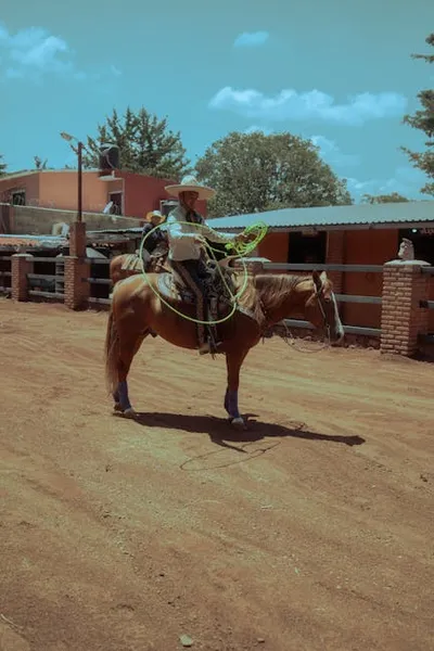 Illustration lassos - Image 2