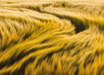 Illustration waves - Image 1