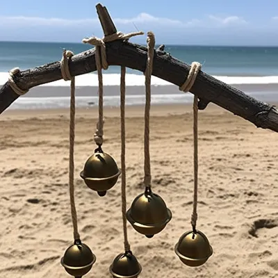 Illustration coral - Image 1