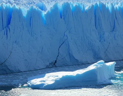 Illustration calved - Image 1