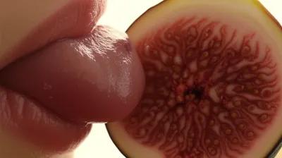 Illustration lick - Image 1