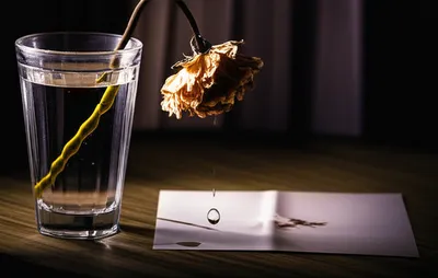 Illustration regretting - Image 1