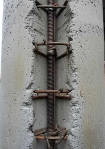 Illustration stalks - Image 1