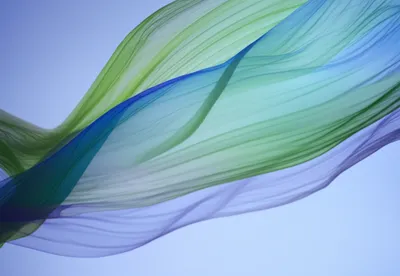 Illustration blows - Image 1