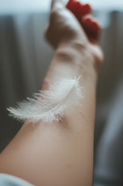 Illustration prickled - Image 1