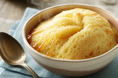 Illustration sponges - Image 1