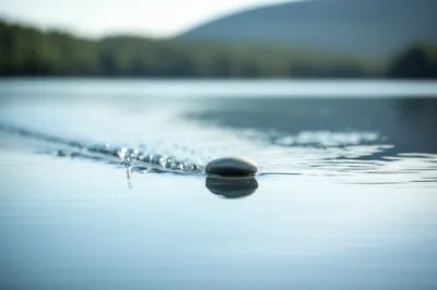 Illustration skims - Image 1