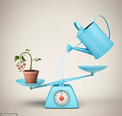 Illustration dispenses - Image 1