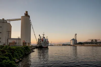 Illustration siloed - Image 1