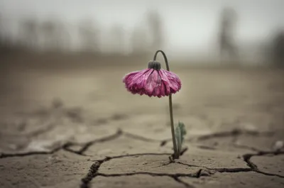 Illustration lying - Image 1