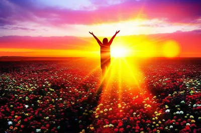 Illustration cures - Image 1