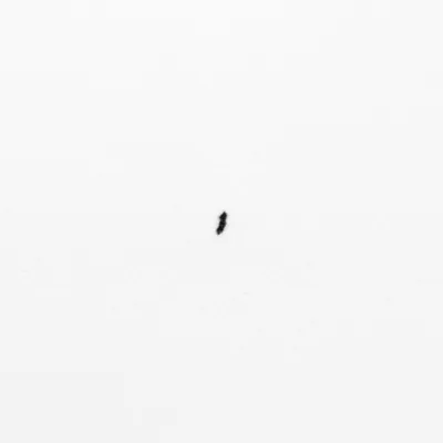 Illustration shive - Image 1